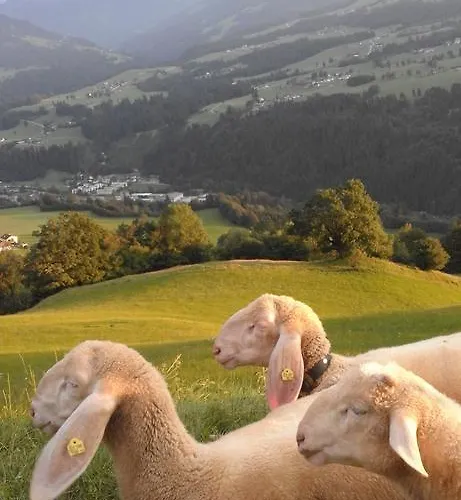 Appartement Haus Hofbichl Itter