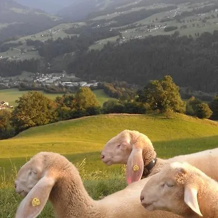 Appartamento Haus Hofbichl Itter