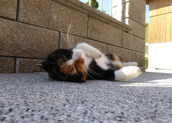 Lägenhet Haus Hofbichl