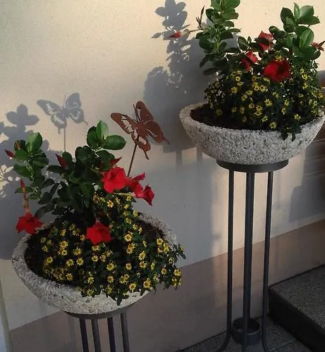 Lägenhet Haus Hofbichl